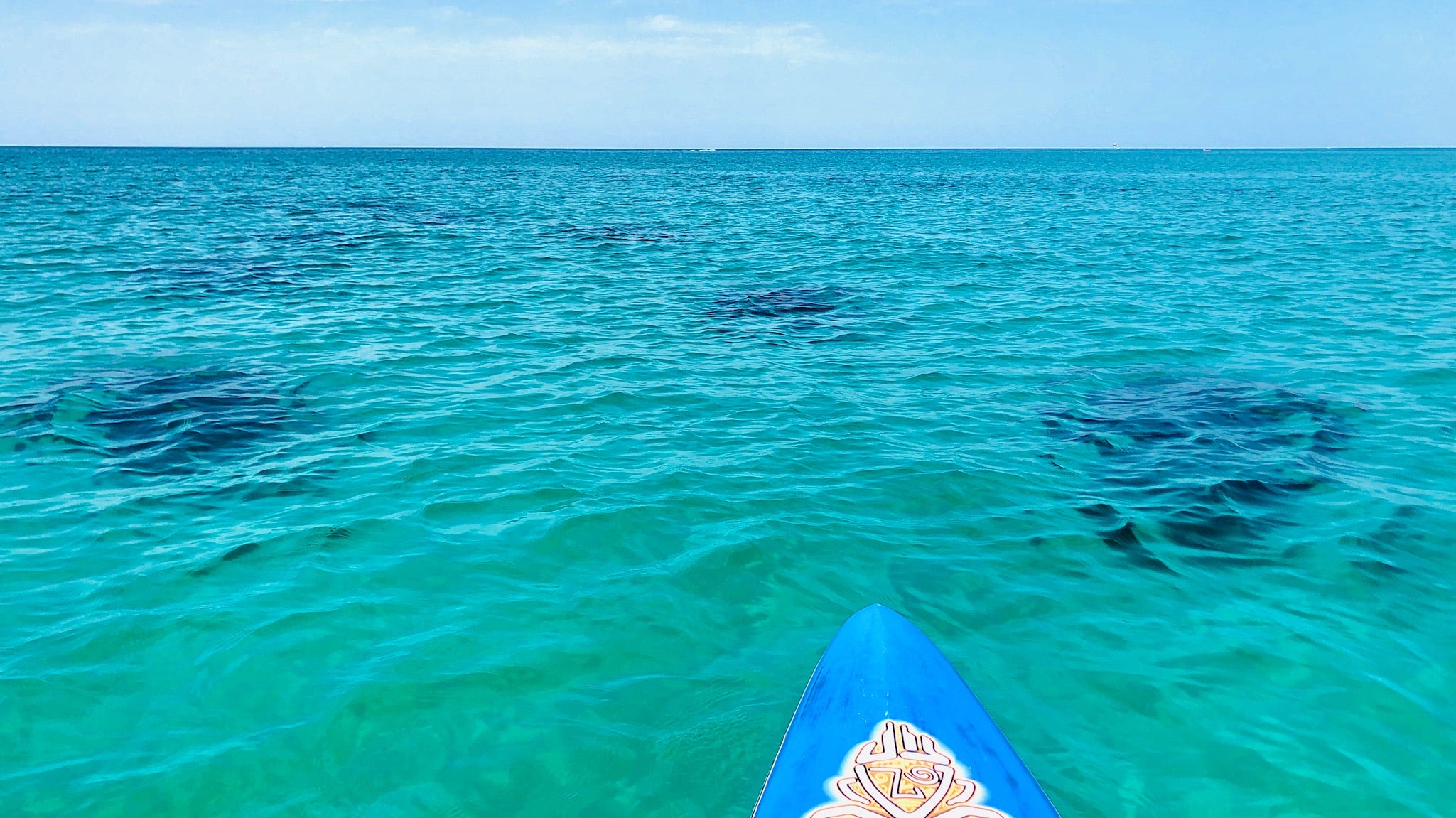 Snorkeling Reefs Destin FL and near locations - Paddleboarding near the reefs - Wet Paddle Boards