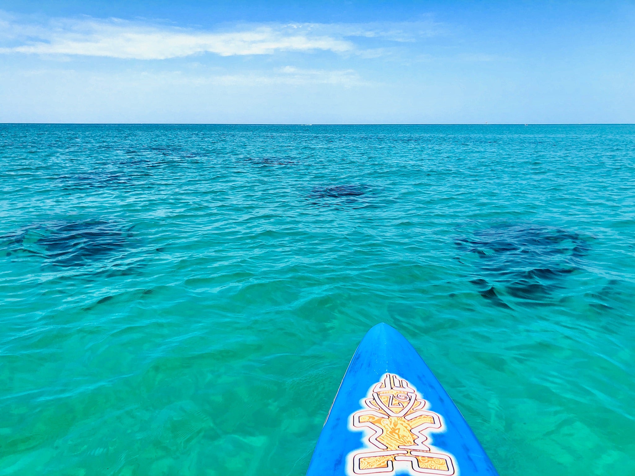 Snorkeling Reefs Destin FL and near locations - Paddleboarding near the reefs - Wet Paddle Boards